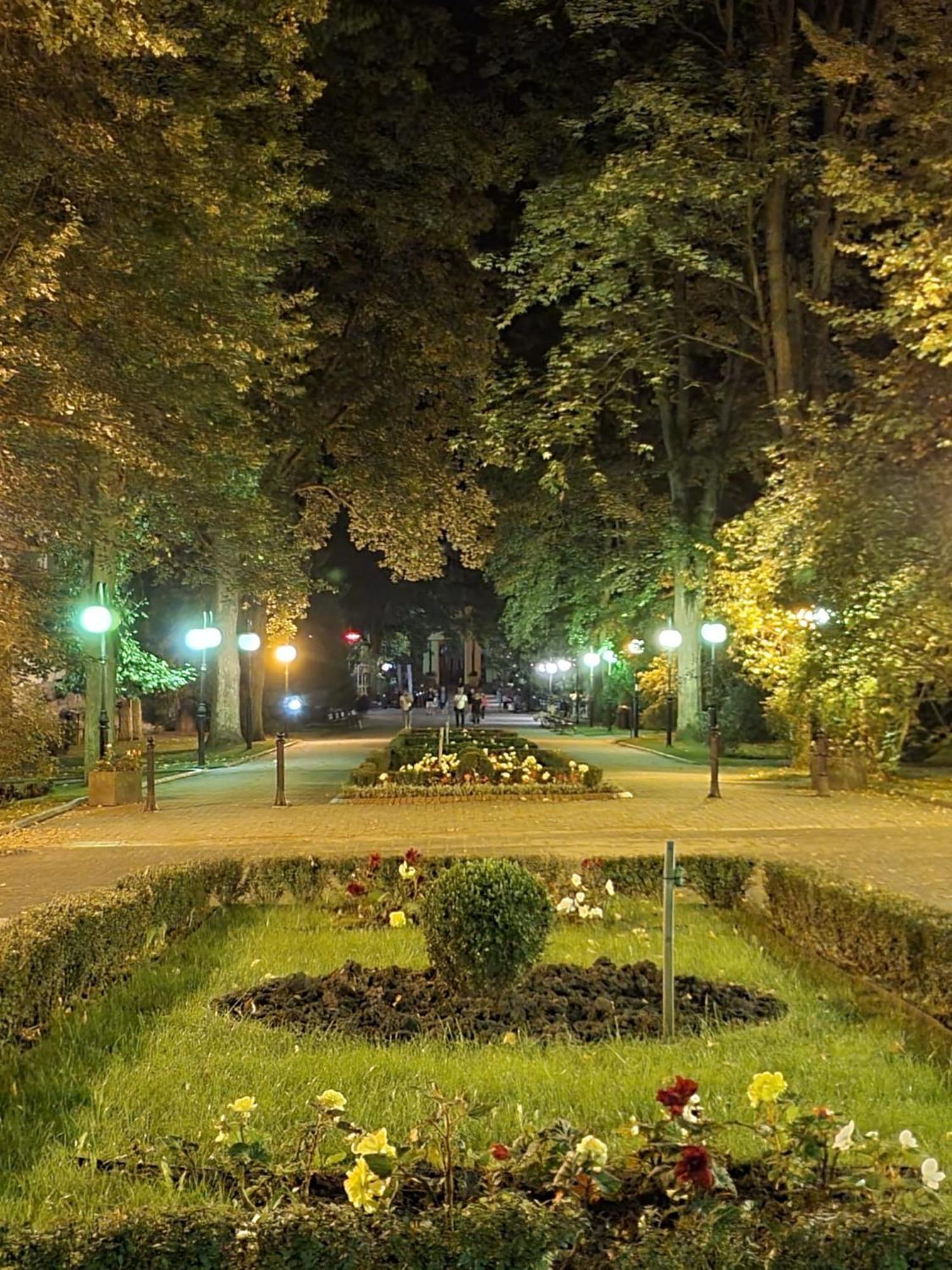 Ogrody Pieniawskie Paryski *